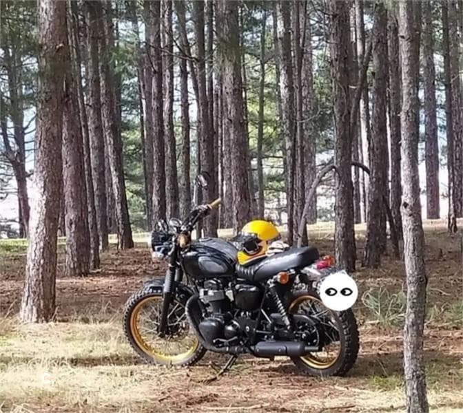 Kawasaki W 800 4500 € 2012 León - 1