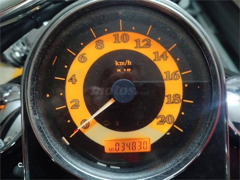 Harley-Davidson Softail Standard – Vista 1