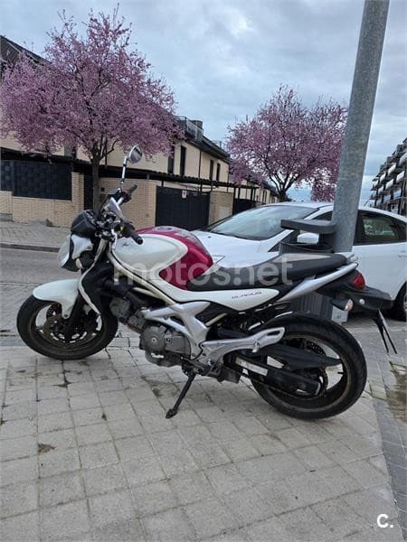 Suzuki Gladius 650 – Vista 1