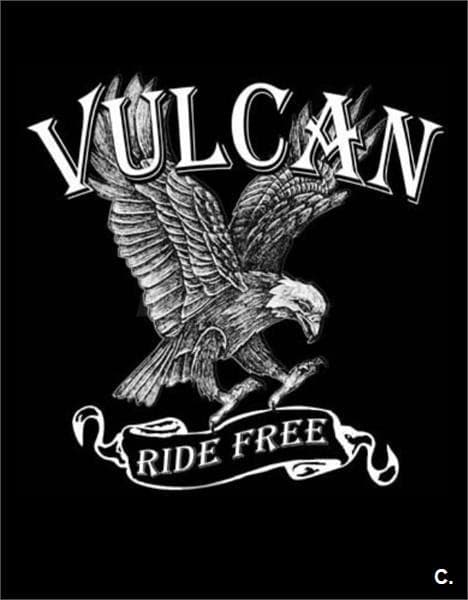 Kawasaki VN 900 CLASSIC – Vista 1