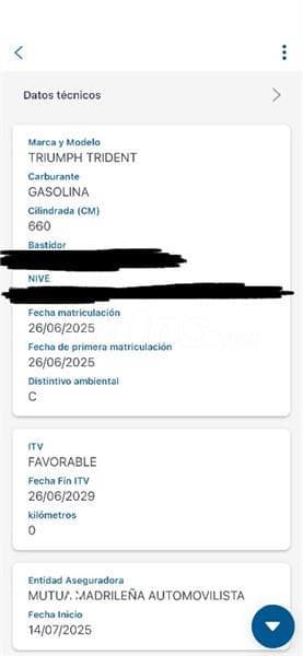 Triumph Trident 660 – Vista 5