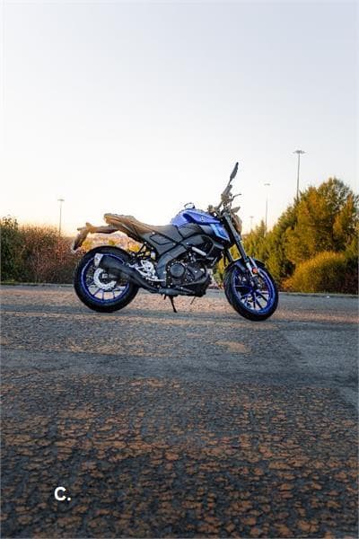 Yamaha MT-125 – Vista 8