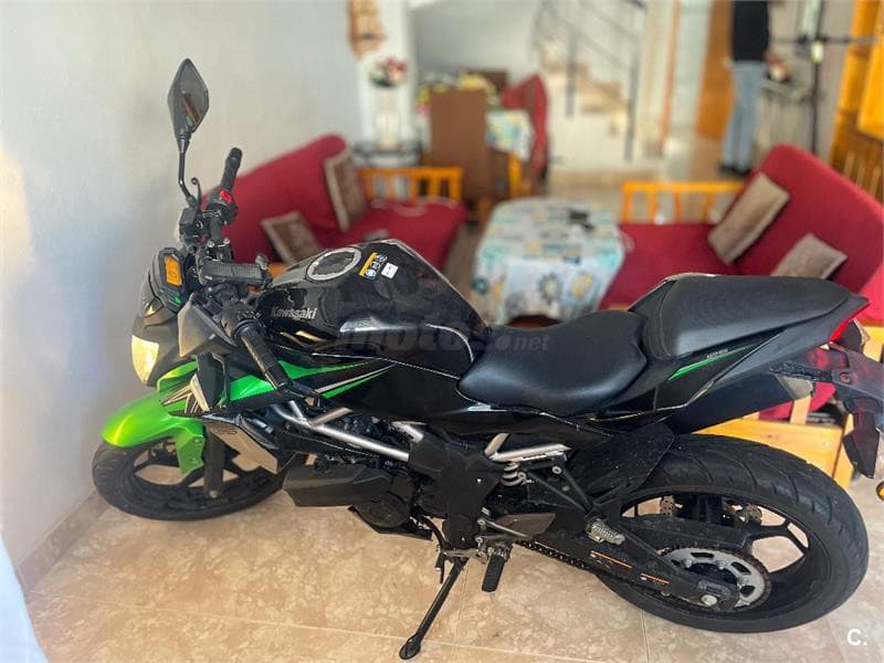 Kawasaki Z 125 – Vista 1