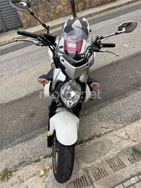 Suzuki Gladius 650 – Vista 2