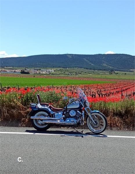 Yamaha XV 650 Drag Star – Vista 1