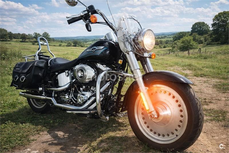 Harley-Davidson Bad Boy 1300 16.500 € 2007 Ciudad Real - 3