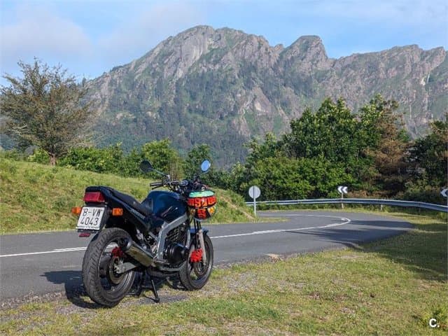 Suzuki GS 500 E – Vista 1