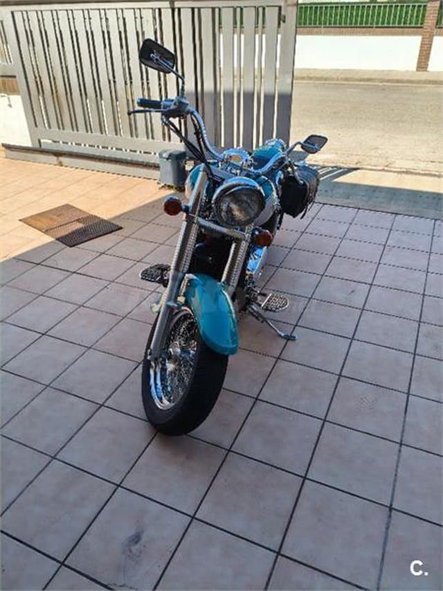 Kawasaki VN VULCAN 800 CLASIC – Vista 3