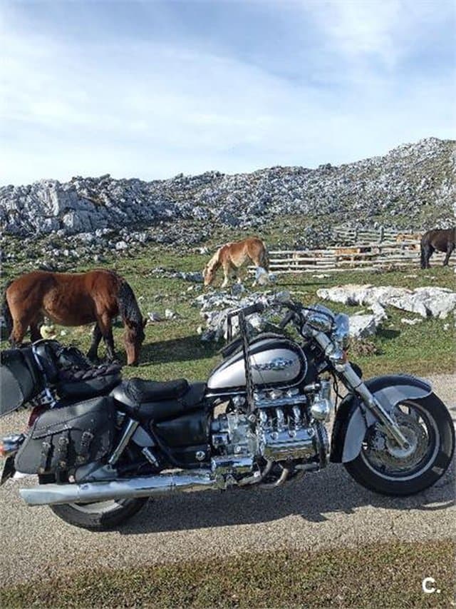 Honda F-6 C 1500 Valkirye – Vista 1