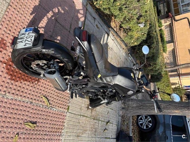 Benelli Leoncino – Vista 2