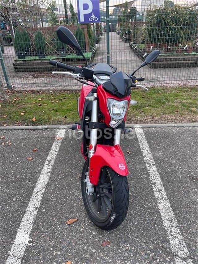 Benelli BN 251 – Vista 6