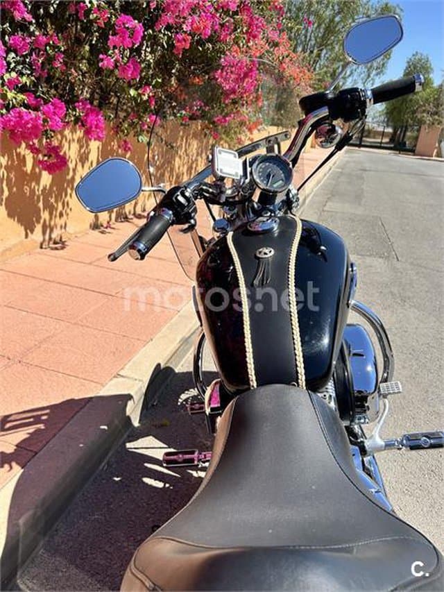 Harley-Davidson Sportster 1200 – Vista 4