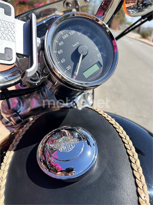 Harley-Davidson Sportster 1200 – Vista 5