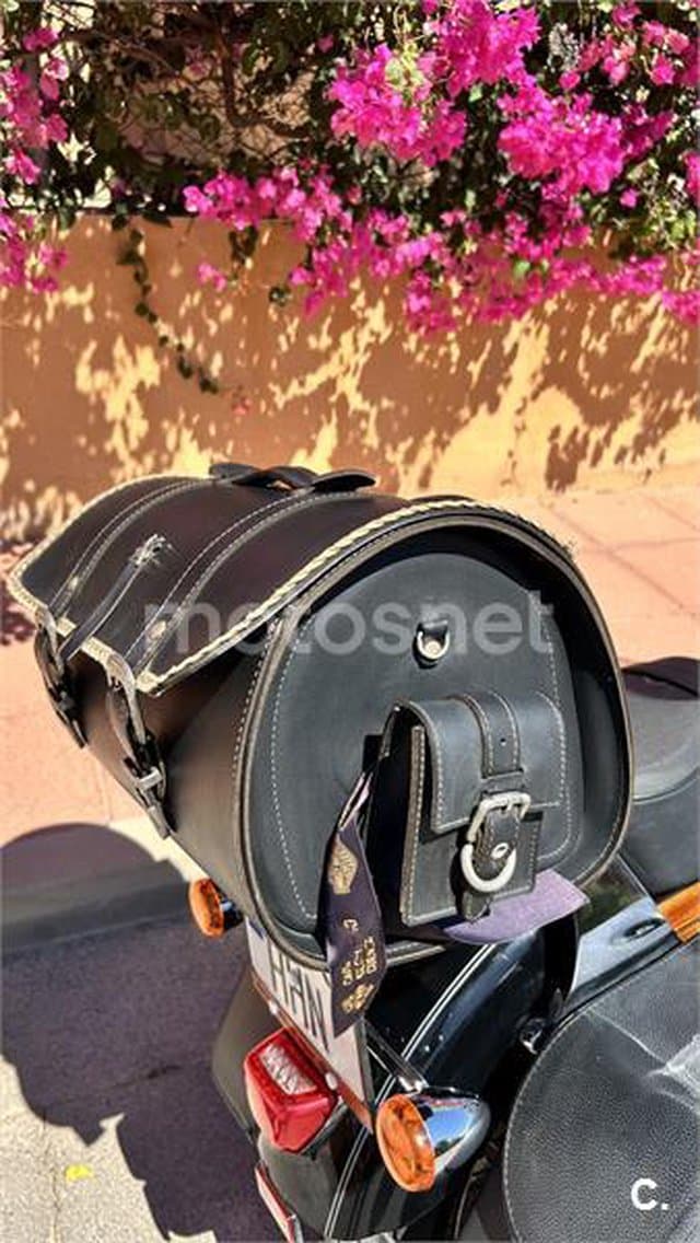 Harley-Davidson Sportster 1200 – Vista 7