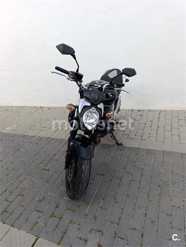 Suzuki Gladius 650 – Vista 13