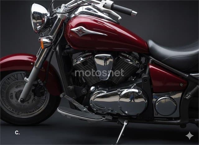 Kawasaki VN 900 CLASSIC – Vista 3